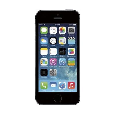 Apple iPhone 5s 16GB Cell Phone - Space Gray (AT&T)