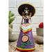 Ebros Day of The Dead Skeleton Lady Rosa with Purple Gown Figurine 5.25 H Statue