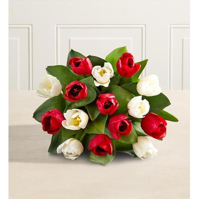 1-800-Flowers Seasonal Gift Delivery Holiday Tulips 15 Stems, Bouquet Only