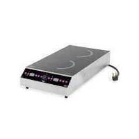 Vollrath 15" W Professional Series Induction Ranges (69522) - Stainless Steel