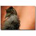 Trademark Fine Art "Whispy Bird" by Lois Bryan Framed Photographic Print on Wrapped Canvas in White | 30 H x 47 W x 2 D in | Wayfair LBr098-C3047GG
