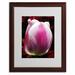 Trademark Fine Art "Perfect Pink & White Tulip" by Kurt Shaffer Matted Framed Photographic Print Canvas in Pink/Red | 20 H x 16 W x 0.5 D in | Wayfair