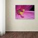 Trademark Fine Art 'Inside a Hibiscus' by Kurt Shaffer Framed Photographic Print on Wrapped Canvas Metal in Pink | 22 H x 32 W x 2 D in | Wayfair