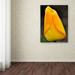 Trademark Fine Art 'Perfect Yellow Tulip' by Kurt Shaffer Framed Photographic Print on Wrapped Canvas in Black/Yellow | 24 H x 16 W x 2 D in | Wayfair