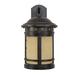 Yosemite Home Decor Sahara Desert Night 1 - Bulb Outdoor Wall Lantern Glass/Metal in Black | 16.1 H x 9.1 W x 11.8 D in | Wayfair FL1025DN9