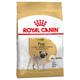 3kg Carlin Adult Royal Canin - Croquettes pour chien