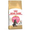 10kg Kitten Maine Coon Royal Canin Croquettes pour chaton