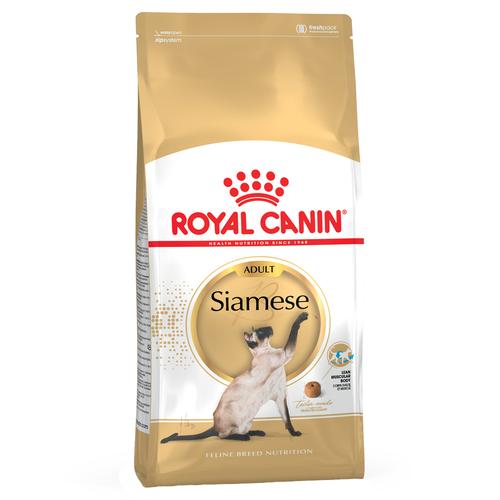 10kg Siamese Adult Royal Canin Katzenfutter trocken