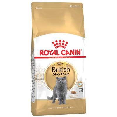 10kg British Shorthair Adult Royal Canin Breed Katzenfutter trocken