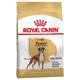 2x12kg Royal Canin Boxer Adult Hundefutter trocken