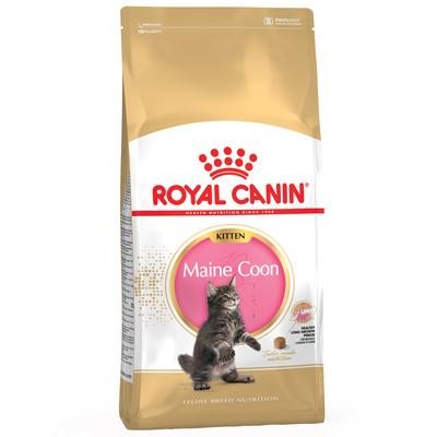 10kg Maine Coon Kitten Royal Canin Katzenfutter trocken