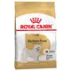 3x1,5kg Bichon Frise Adult Royal Canin Hundefutter trocken