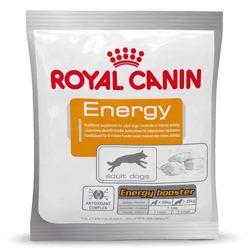 10x50g Energy Belohnungssnack Royal Canin Hundesnack