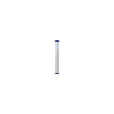 Everpure Costguard CG5-20S Water Filter Cartridge