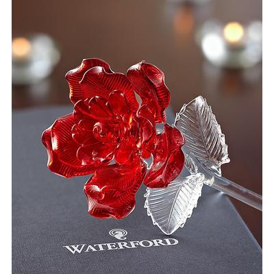 1-800-Flowers Flower Delivery Waterford Red Glass Rose | Happiness Delivered To Their Door