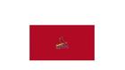 Imperial Officially Licensed MLB Saint Louis Cardinals 8 ft. Pool Table Cloth Kit