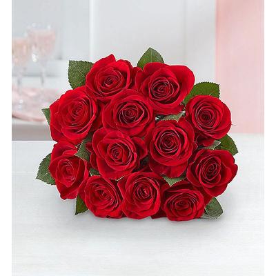 1-800-Flowers Flower Delivery One Dozen Red Roses Bouquet Only | Same Day Delivery Available | Happiness Delivered To Their Door
