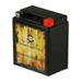 Pirate Battery Ytx7l-bs (7l-bs 12 Volts 6 Ah 75 Cca) High Performance - Maintenance Free - Sealed AGM Motorcycle Battery