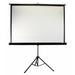 Elite Screens Tripod Pro Series Portable Projector Screen in White | 148.4 H x 91.9 W in | Wayfair T119UWS1-PRO