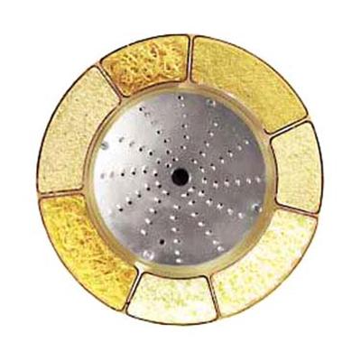 Robot Coupe 5/64-Inch Grating Disc (28057)