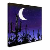 Trademark Fine Art "Desert Moon" Graphic Art on Wrapped Canvas in Black | 35 H x 35 W x 2 D in | Wayfair RS901-C3535GG