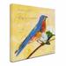 Trademark Fine Art "Bluebird" by Sheila Golden Painting Print on Wrapped Canvas Canvas | 24 H x 24 W x 2 D in | Wayfair SG5684-C2424GG