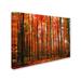 Trademark Fine Art "Dominated" by Philippe Sainte-Laudy Photographic Print on Wrapped Canvas in Green/Red | 16 H x 24 W x 2 D in | Wayfair