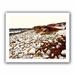 ArtWall 'A Pebble Beach' by Linda Parker Photographic Print on Rolled Canvas in White | 28 H x 36 W x 0.1 D in | Wayfair Lpar-060-32x24