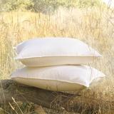 Eastern Accents Loure Down Alternative Medium Support Pillow Down Alternative/100% Cotton | 20 H x 27 W x 6 D in | Wayfair DM-BPB-ST05