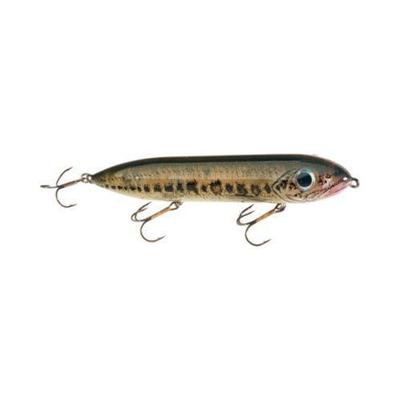 Heddon Super Spook - FLORIDA BASS