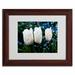 Trademark Fine Art 'Three Parrot Tulips' by Kurt Shaffer Framed Photographic Print Canvas in Blue/White | 11 H x 14 W x 0.5 D in | Wayfair