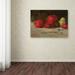 Trademark Fine Art 'Still Life Apples & Pears' Print on Wrapped Canvas Canvas | 14 H x 19 W x 2 D in | Wayfair BL01422-C1419GG