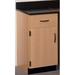 Stevens ID Systems Science 2 Compartment Classroom Cabinet w/ 1 Door Wood in Brown | 35 H x 18 W x 23 D in | Wayfair 81436 J36-024