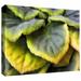 ArtWall Layers by Dean Uhlinger - Wrapped Canvas Photograph Print Metal in Green/Yellow | 24 H x 32 W x 2 D in | Wayfair 0uhl056a2432w