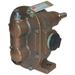 DAYTON 4KHG7 Rotary Gear Pump Head, 1/2 In., 1/3 HP