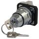 DAYTON 30G315 Non-Illum Selector Switch,Chrome,2P,10A