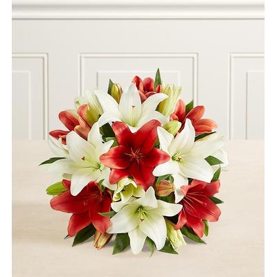 1-800-Flowers Seasonal Gift Delivery Holiday Lily Bouquet 7 Stems, Bouquet Only