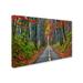 Trademark Fine Art "Paths" by CATeyes Photographic Print on Wrapped Canvas in White | 30 H x 47 W x 2 D in | Wayfair MZ0307-C3047GG