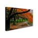 Trademark Fine Art 'Tidal Basin Autumn 2 Photographic Print on Wrapped Canvas in White | 30 H x 47 W x 2 D in | Wayfair MZ0310-C3047GG