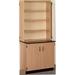 Stevens ID Systems Science 6 Compartment Accent Cabinet w/ Doors Wood in Brown | 84 H x 36 W x 23 D in | Wayfair 84200 K84 25-073-04