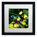 Trademark Fine Art 'Doris Longwing Butterfly on Orchid' by Kurt Shaffer Framed Photographic Print Canvas | 16 H x 16 W x 0.5 D in | Wayfair