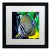 Trademark Fine Art 'Tropical Fish 2' by Kurt Shaffer Framed Photographic Print Canvas | 16 H x 16 W x 0.5 D in | Wayfair KS119-B1616MF