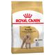 2x7.5kg Poodle Adult Royal Canin Dry Dog Food