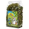 JR Farm Piantaggine minore - Set %: 2 x 500 g