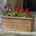 Campania International Classic Rolled Rim Cast Stone Planter Box Concrete, Copper in Gray | 15.75 H x 36 W x 17.5 D in | Wayfair P-555-PN