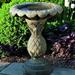 Campania International Pineapple Birdbath Concrete, Copper in Green | 20 H x 17 W x 17 D in | Wayfair B-013-VE