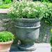 Campania International St. Remy Cast Stone Urn Planter Concrete, Copper in Gray | 22 H x 18.5 W x 18.5 D in | Wayfair P-326-GS