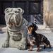 Campania International Antique Bulldog Statue Concrete, Copper in Gray | 20 H x 24 W x 14 D in | Wayfair A-456-GS