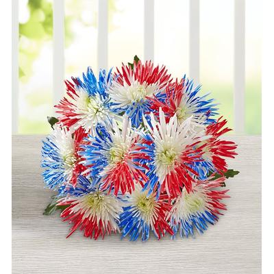 1-800-Flowers Everyday Gift Delivery Firecracker Mums 10 Stems, Bouquet Only