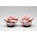 Cosmos Gifts Rose Salt & Pepper Set China in Pink | 1.88 H x 2.5 W in | Wayfair 10408